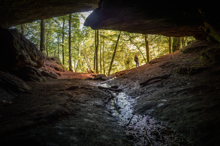 Bärenhöhle - Pfalz - Felsenwanderweg - Pictures of Germany.com