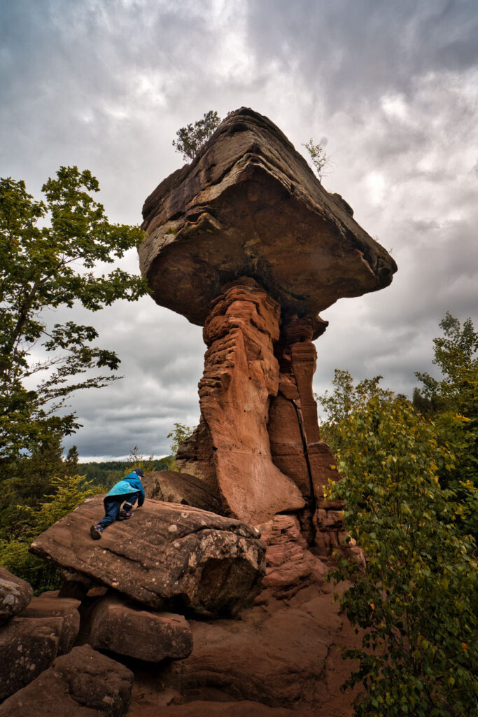 teufelstisch-pfalz-pictures-of-germany.com-